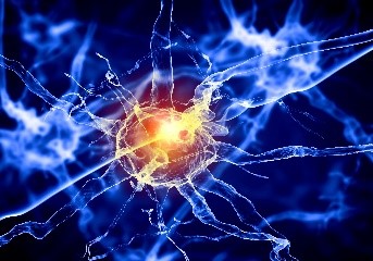 Cellular activity