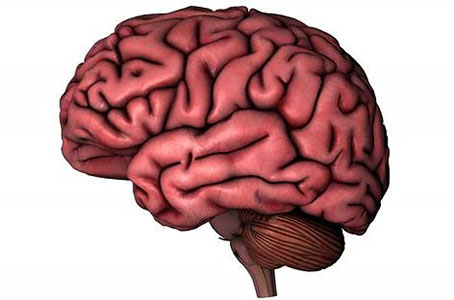 Neuroplasticity 1