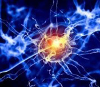 Neuroplasticity 9
